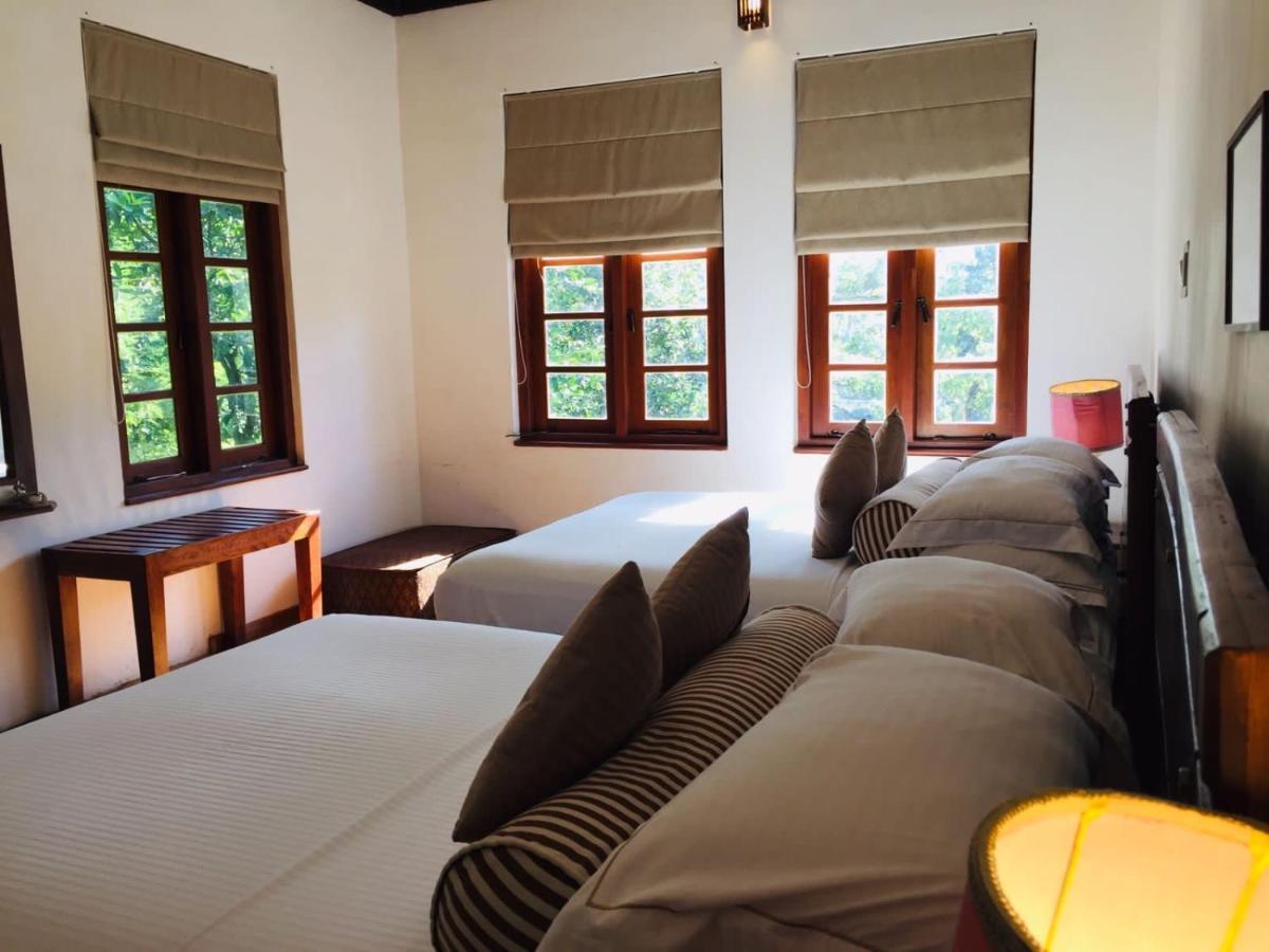 Tea Cottage Resort & Spa Навалапития Экстерьер фото