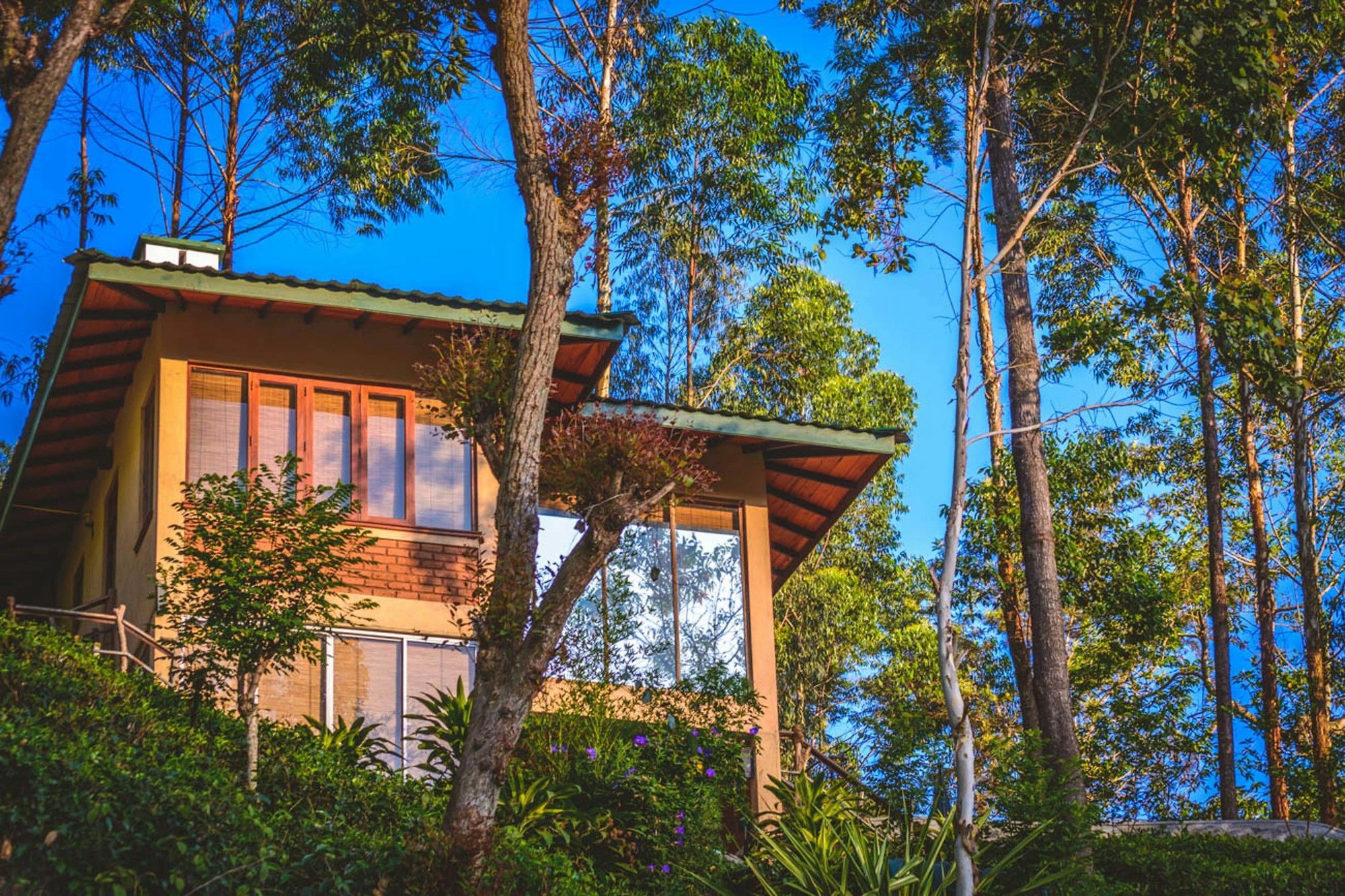 Tea Cottage Resort & Spa Навалапития Экстерьер фото